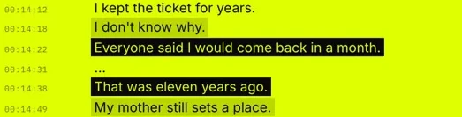 Transcript lines with strong quotes highlighted
